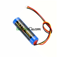 PLC L617-1S1P CP01TIOT S1 akumuliatoriaus keitimas