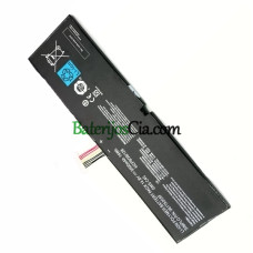 Razer Blade-Pro-17 0099 RZ09-0117 2014 GMS-C40 akumuliatoriaus keitimas
