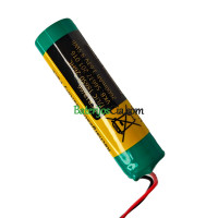PLC 18650-26HC akumuliatoriaus keitimas