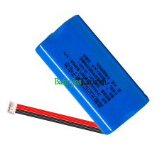 PLC 2P18650 akumuliatoriaus keitimas