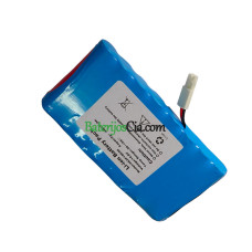 PLC 4S2P18650 akumuliatoriaus keitimas