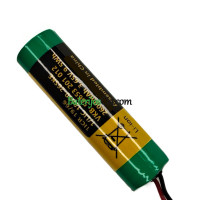 PLC 56653-201-012 LIC18650-26SKE akumuliatoriaus keitimas