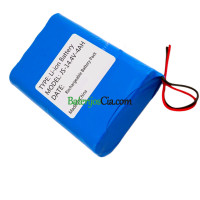 PLC JS-14.4V-4AH akumuliatoriaus keitimas