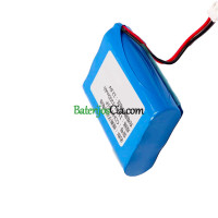 PLC TS1132 akumuliatoriaus keitimas