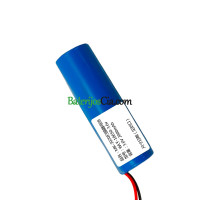 PLC WLY-18650-3.6V MK-3020 akumuliatoriaus keitimas