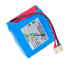 PLC WP-18650-14.4-4400 1112L ECG1201G 1114 akumuliatoriaus keitimas