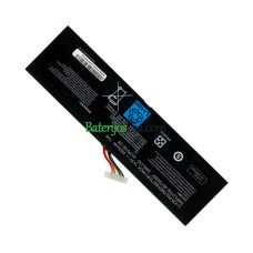Razer GMS-C40 RZ09-0117 Blade Pro17-2014 0099 akumuliatoriaus keitimas