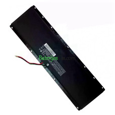 TF FSN-PUB2TF U410-I4010040G02 akumuliatoriaus keitimas