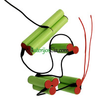 Atsarginis akumuliatorius Electrolux ZB3003 3007 3004 3006