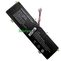 PDA 11 sagtys-9Lines NV-4663117-2S pakaitinis akumuliatorius