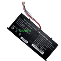 PDA pakaitinis akumuliatorius 10 sagtys-7 linijos AEC4493108-2S1P