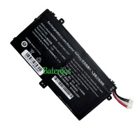PDA pakaitinis akumuliatorius 10 sagtys-8 linijos AEC687060-2S1P