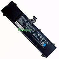 PDA pakaitinis akumuliatorius QC7-1660TI-97S1B CKIDT-00-13-3S2P-0