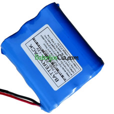 Baterijos keitimas PLC 21700-3S1P-12V