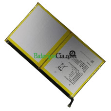  PLC B0060A HM41F01 akumuliatoriaus keitimas