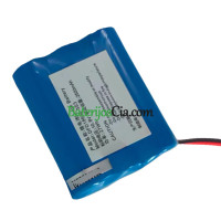  PLC DFD18650-3S3 akumuliatoriaus keitimas