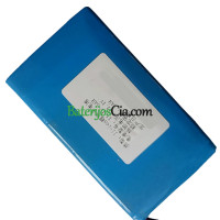  PLC ESP698B baterijos keitimas