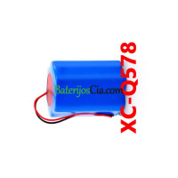 PLC XC-Q578 akumuliatoriaus keitimas