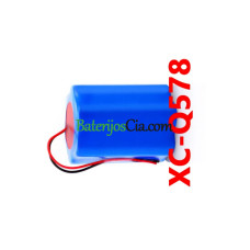  PLC XC-Q578 akumuliatoriaus keitimas